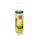 Pelotas de Tenis Wilson Championship Regular Duty en Envase 3 unidades (T1003)