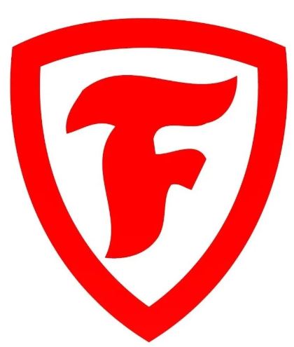 Caucho Firestone Firehawk 900 LN 195/65R15 91H
