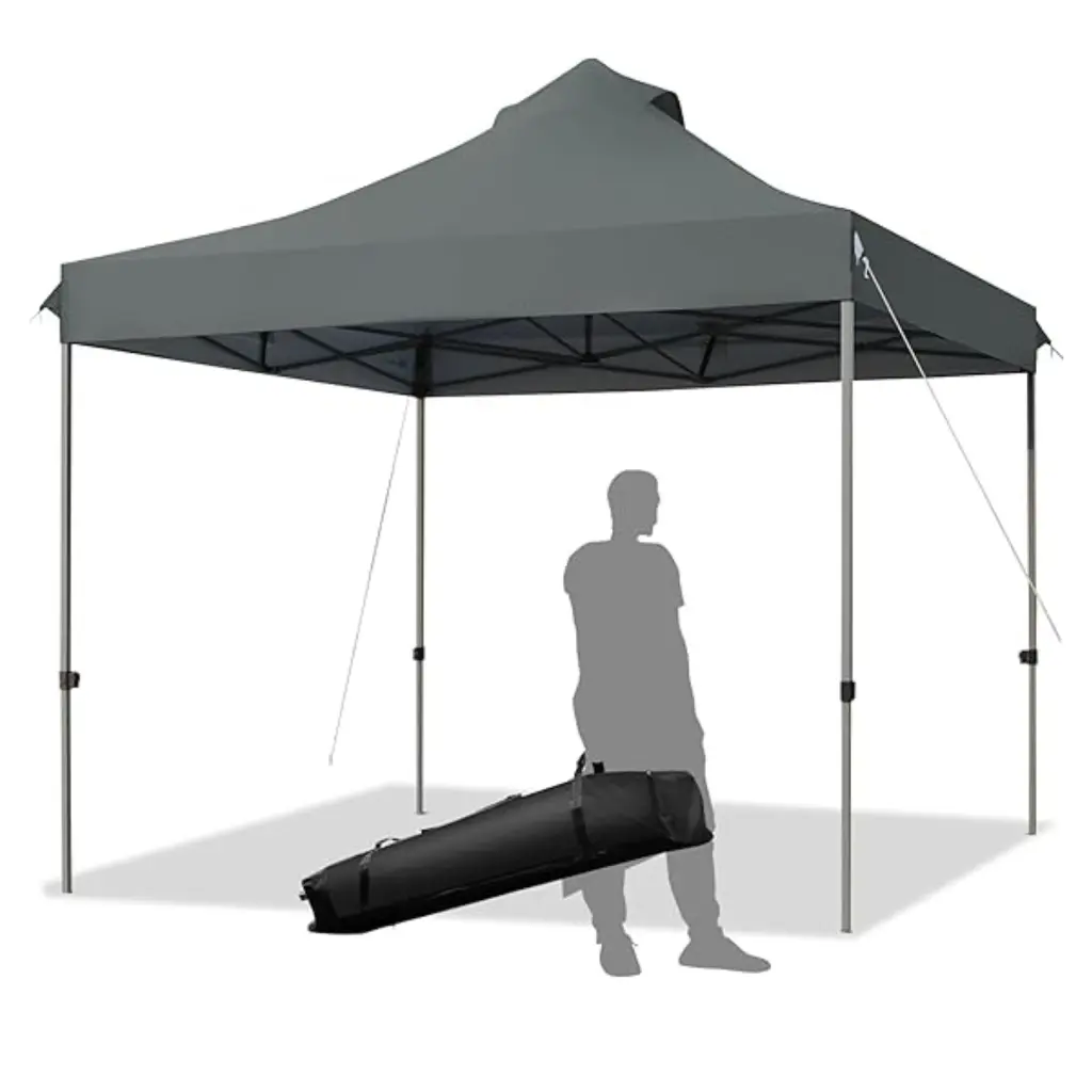 Proyecto nuevo (1).webp