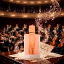 Mesa de trabajo 8.webp