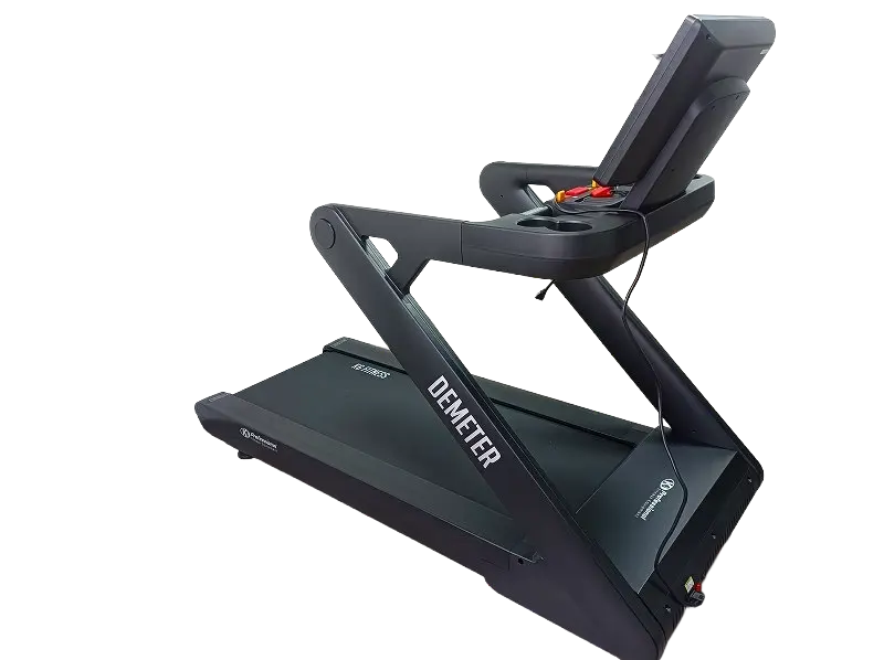 Sin título (5).webp