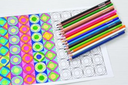 Colores Paper Mate Candy Dp X6/12