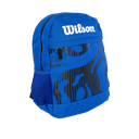 Morral Wilson Plasm Universitario