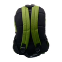 Morral Wilson Block Univesitario