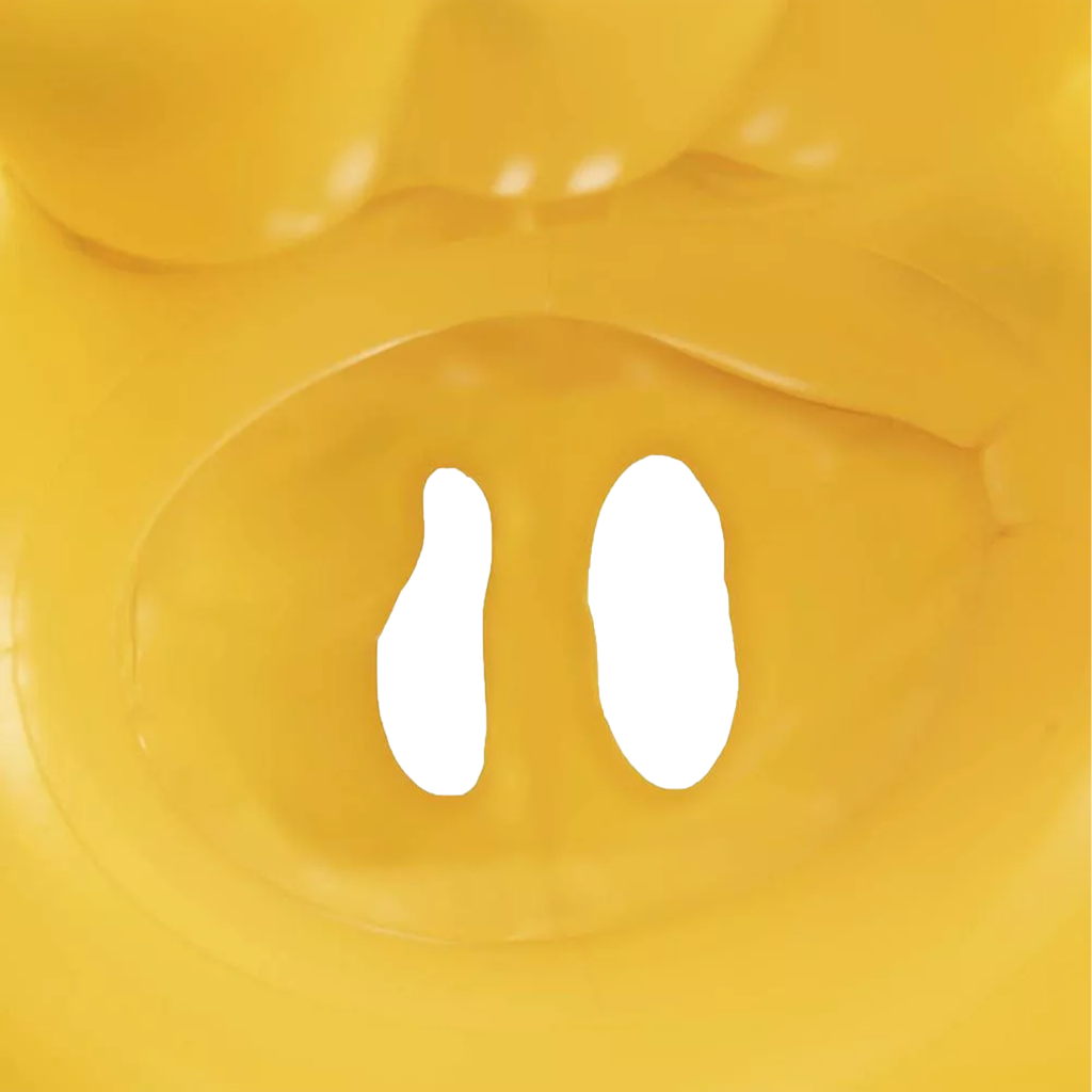 Flotador Redondo Inflable para Bebés Swim Safe Wondersplash Bestway