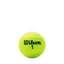 Combo Pelotas de Tenis Transicion Wilson Punto Verde 3P X 4T