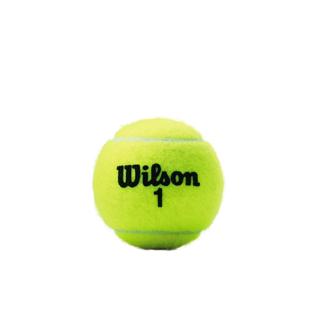 Combo Pelotas de Tenis Wilson Championship Extra Duty 3P X 12T 