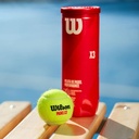 Combo de Pelotas de Padel Wilson Tarro 3P X 6T