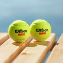 Combo de Pelotas de Padel Wilson Tarro 3P X 24T