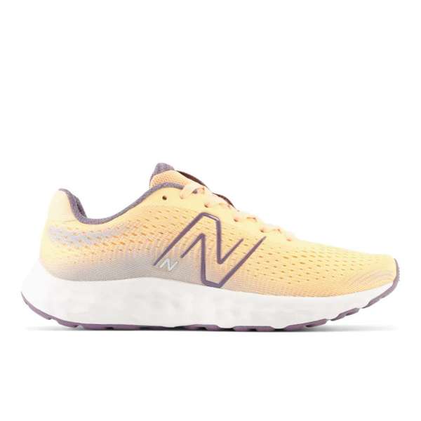 Zapato Running Mujer New Balance 520 v8
