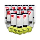 Combo Pelotas de Tenis Wilson Grand Slam Tarro 3P X 12T