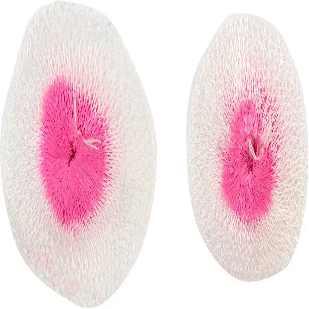 Camisa Mantilla Para Lampara de Gas Coleman Campingaz Talla M