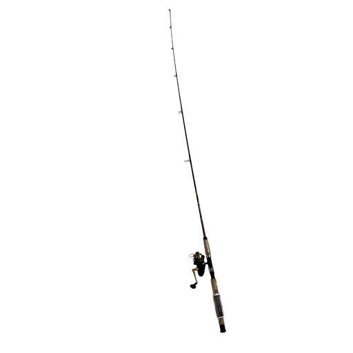 [1151692] Combo spinning Penn Spinfisher 550Ssg 6'6'' (1 pza) (1151692)