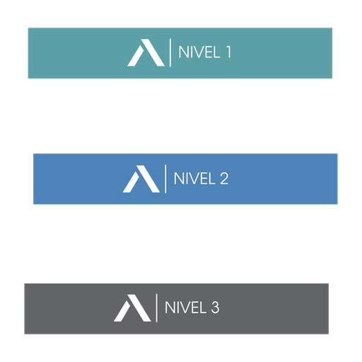 [94162-1] Set de 3 Bandas de Resistencia Bronzini Active